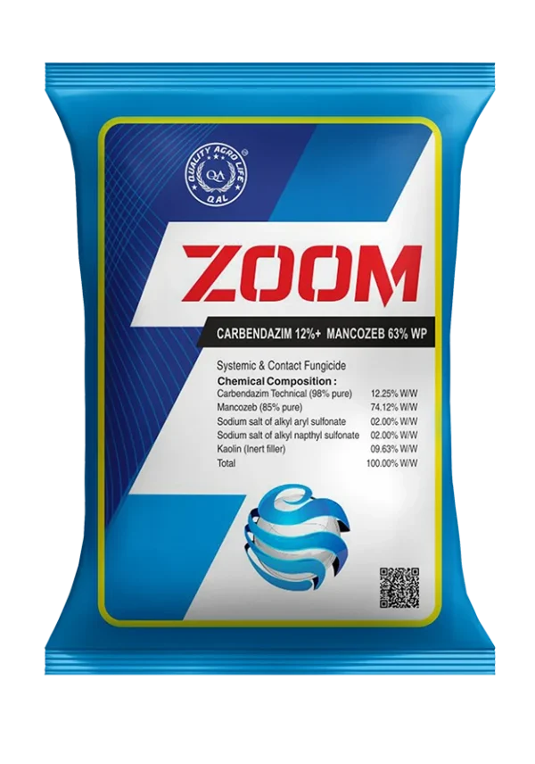 Zoom